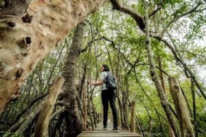 Pariwisata Berkelanjutan Menjadi Pilar Daya Saing Global Indonesia Menurut Wamenpar