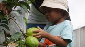 Favorit Anak! Wisata Lebaran Semarang yang Wajib Dikunjungi 2026 — Hortimart Agro Center